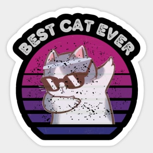 best cat ever edition Sticker